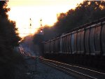 grain cars in the setting sun 